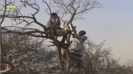 citizentvkenya's tweet photo. VIDEO: Wajir residents climb Mansa hill in search of network https://t.co/HLFEG6H8oZ https://t.co/xFj8V8Ylcy