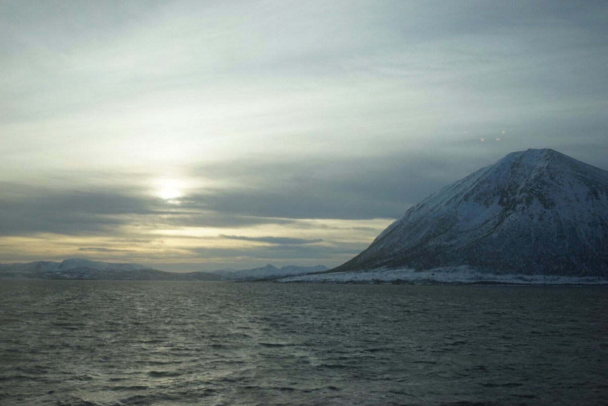 AlexKalopsia's tweet image. More from the #splashjam with @colombinary @norkibit @codegordon and a reindeer