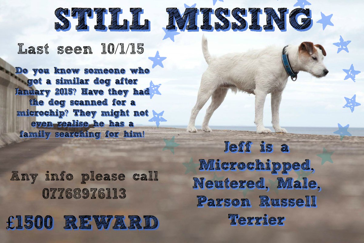 Missing_Jeff's tweet photo. Jeff is still missing!PLEASE keep looking,try &amp; get photo of any similar dogs! #stillmissing #missingjeff #stolen https://t.co/QhNpJVYPkh