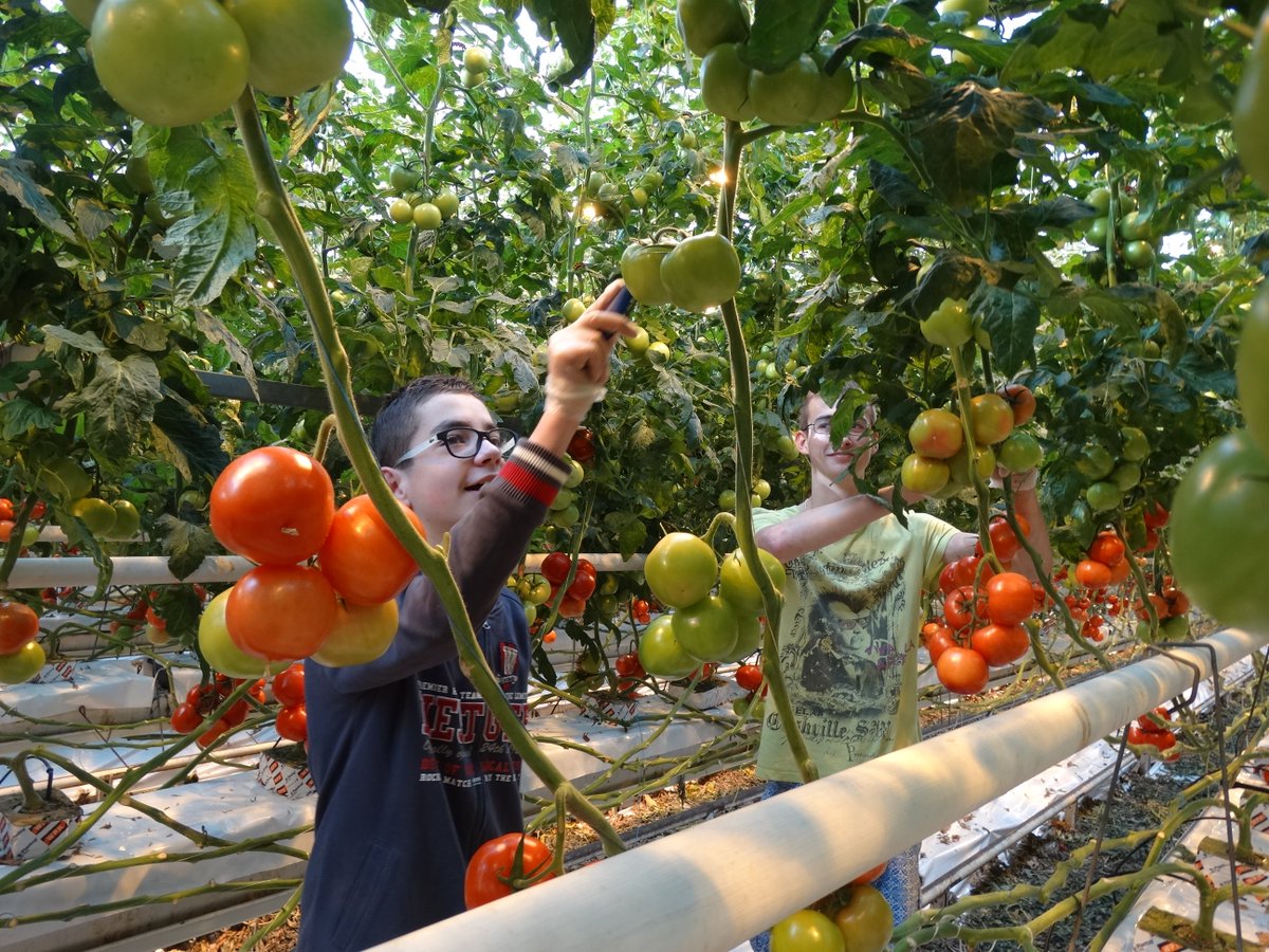 CombiVliet-Agro Care tweet media