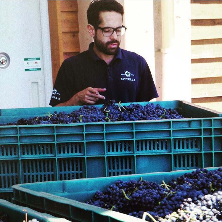 Sittella Winery tweet media