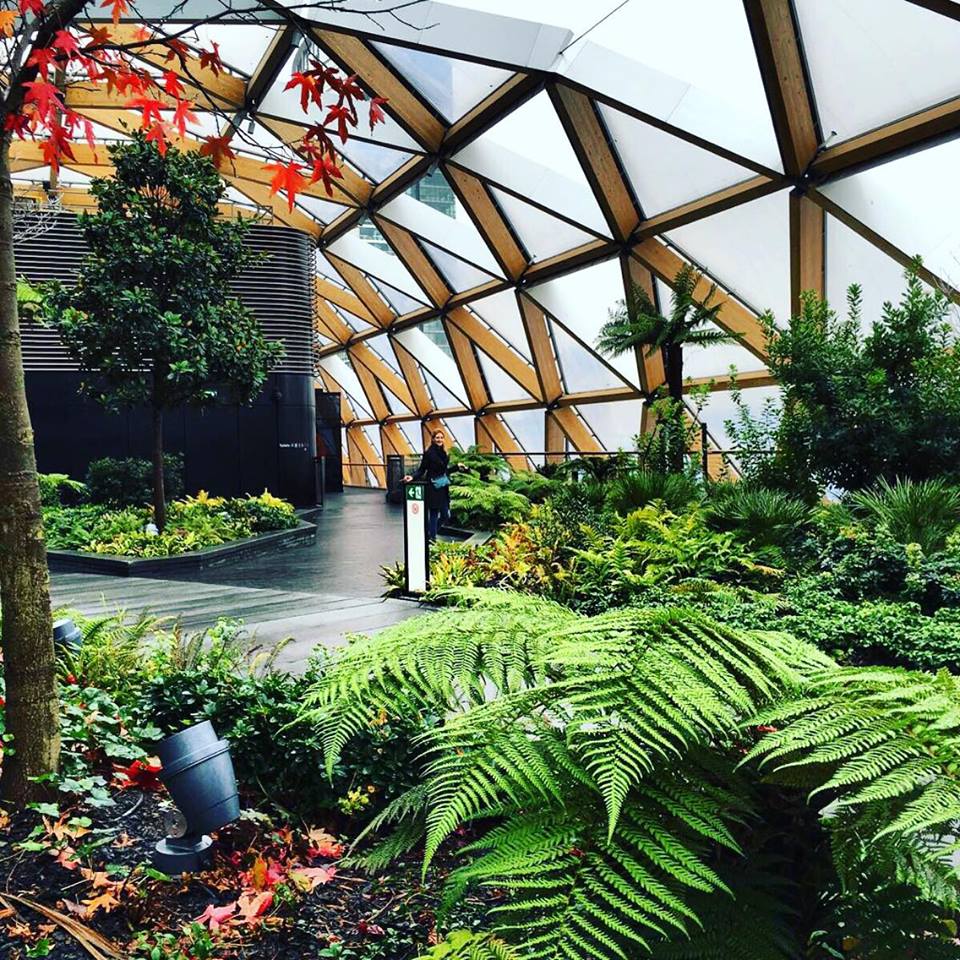 AMO_Details's tweet photo. ๐ด๐ณ๐ต #canarywharf #garden #gardensoflondon #london #cityoflondon #lovelondon #prettylondon #secretplaces #hapiness https://t.co/Ced2RSgS2J