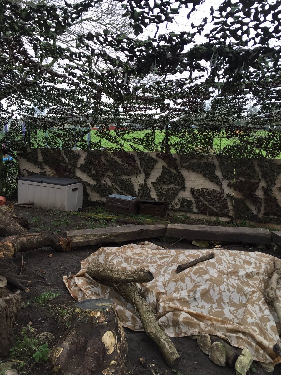 Forest School Fun tweet media