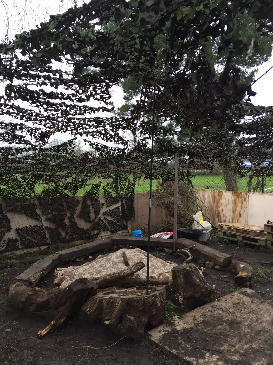 Forest School Fun tweet media