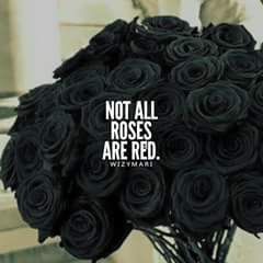 stefff_sk's tweet photo. Black roses x♡ https://t.co/7XBX3b9kEj