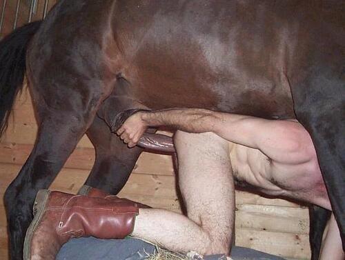 Horse sex male | TubeZZZ Porn Photos