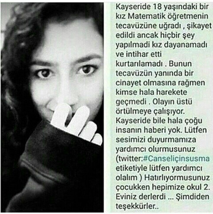 haydin tweet media