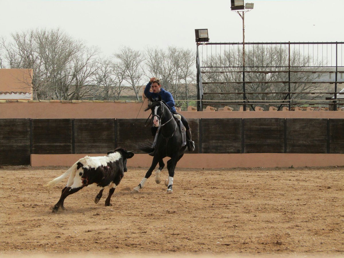 Seguimos entrenando....buen domingo. Oscar tiene los caballos muy buenos para la próxima temporada. Animo torero