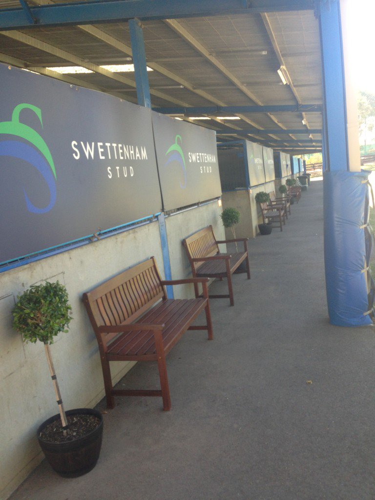 _masterofdesign's tweet photo. @SwettenhamStud looks forward to showing you the 2016 Draft @inglis_sales Melb Prem @ 9.00am tomorrow https://t.co/fNPIx5GtVt