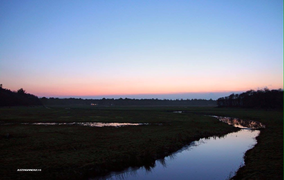 Justin_Sinner's tweet photo. De Ploeglanden op Texel. #texel #nature #natuur #bos #forrest #wadden #eiland #photo #water  https://t.co/2PGcKBtqXG https://t.co/Qv7g0xNrv2