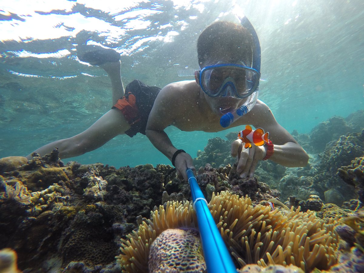 afrilcom's tweet image. Ayo ke Sulawesi Barat dengan keindahan Bawa laut bisa ketemu sama ikan Nemo yang Lucu. #Pulau karampuang