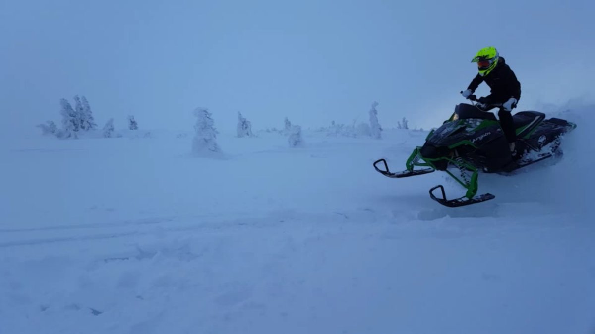 neajansson tweet picture