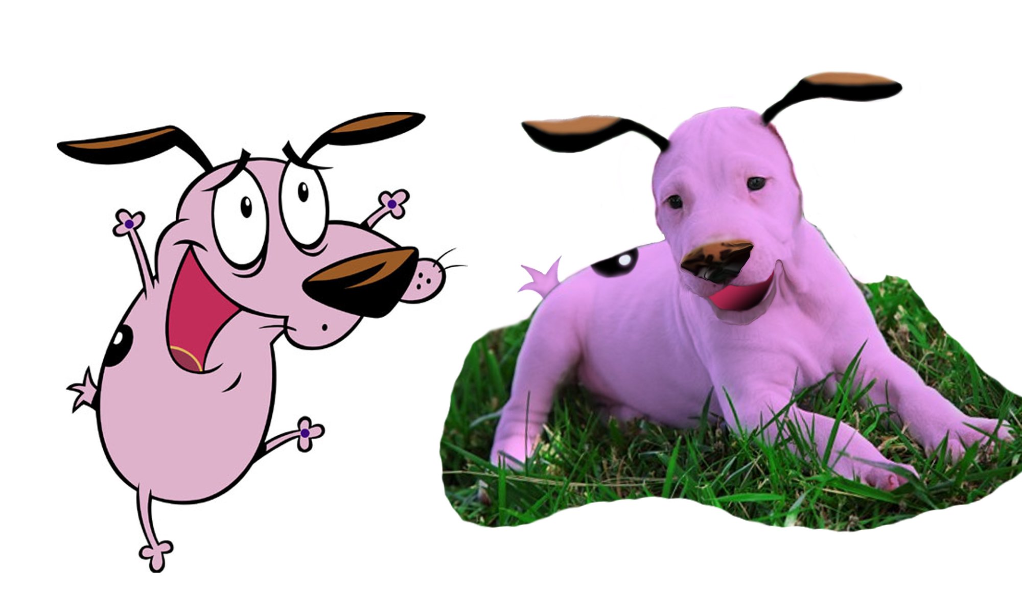 ArtStation Courage The Cowardly Dog Lupon gov ph artstation-courage-the-cowardly-dog-lupon-gov-ph