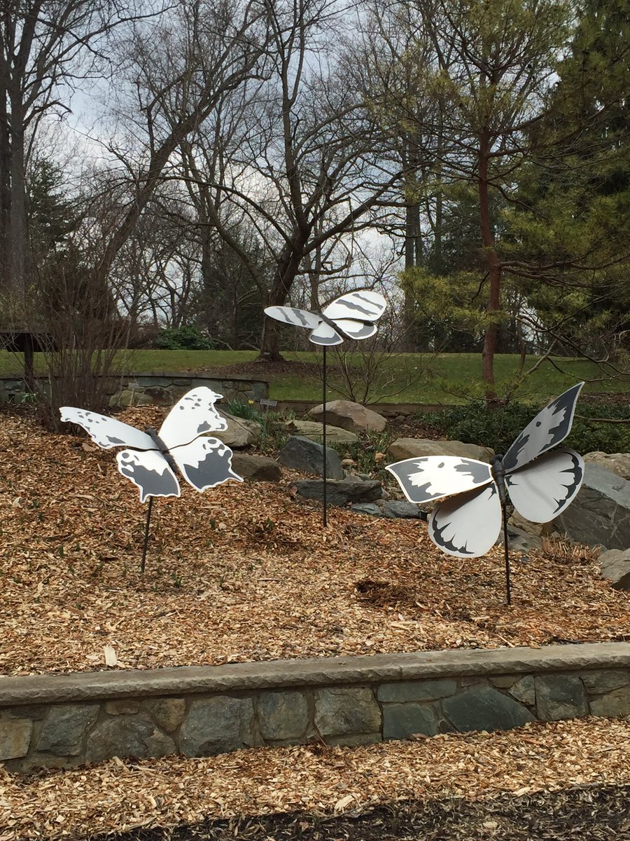 BugAddiction's tweet image. Fantastic metal butterflies at Brookside Gardens in MD. R U a Bug Addict? More @ m.facebook.com/BugAddictionCo…