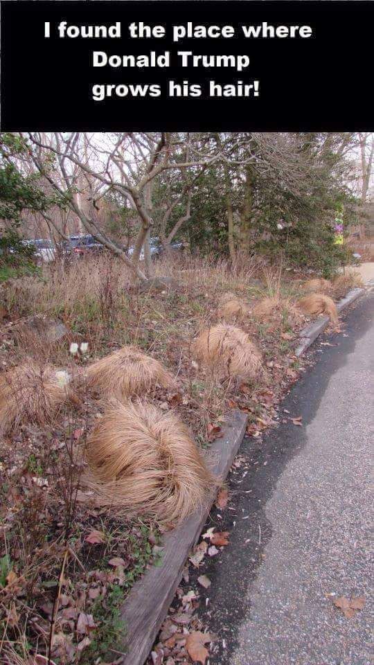 freerandomshit's tweet image. LOL!