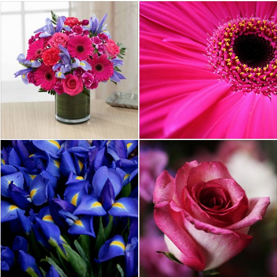 Park Ex Flower Shop (ParkExFlowers) Twitter