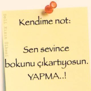 Ceren Kadriye (@crntsn) on Twitter photo 