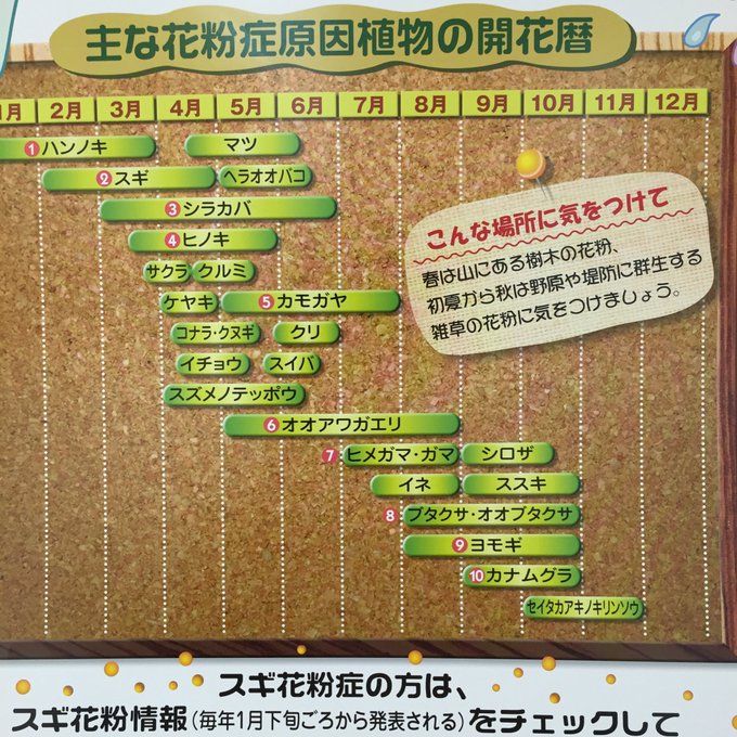 最近twitterで見かけた 花粉症 に関する有益な話 あれこれ Matomehub まとめハブ 最近twitterで見かけた 花粉症 に関する有益な話 あれこれ Matomehub まとめハブ