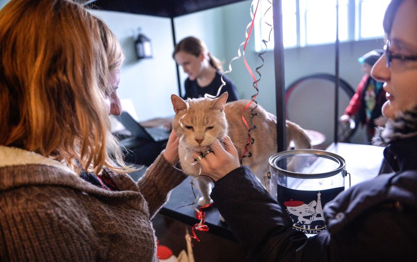 localtunity's tweet image. Congrats to @GSR_lecatcafe on Sunday's grand opening! The #Philly based, non-profit cat cafe opens full-time on Wed.