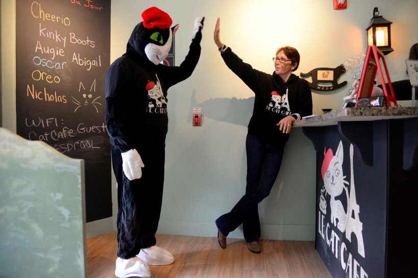 localtunity's tweet image. Congrats to @GSR_lecatcafe on Sunday's grand opening! The #Philly based, non-profit cat cafe opens full-time on Wed.