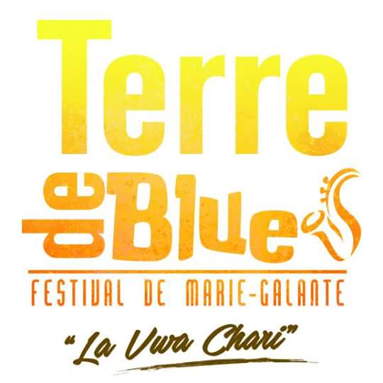 Mlle_MMA's tweet photo. Je n'ai qu'une chose à dire: Restez connectés ---> @TerreDeBlues @OTMarieGalante #Festival #TDB2016 https://t.co/pySzhI3aSs