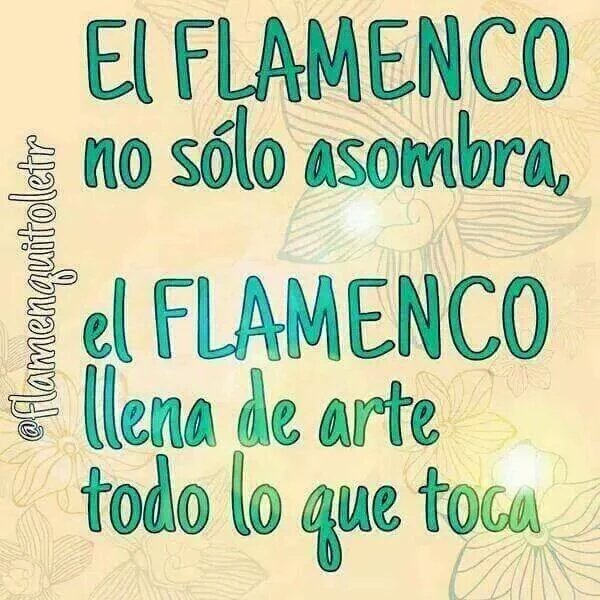 MReyejimenez's tweet photo. Así es y Olé https://t.co/zvJRobS1IN