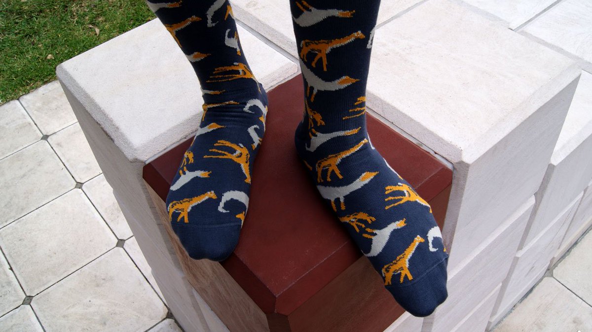 SoxyBeast's tweet photo. Here's a look at the first of our #wild #sockdesigns for March. "The Animalia" by Jean Bosco from @TheSocialStudio https://t.co/fkUHsgrjt3