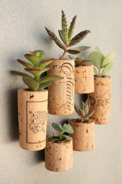 msbarbarak's tweet photo. Adorable. #plants #rock so #drink #wine then #DIY like a #diyva #toolsrequired https://t.co/SpE9NebIB8 https://t.co/iGwSrTtIoP