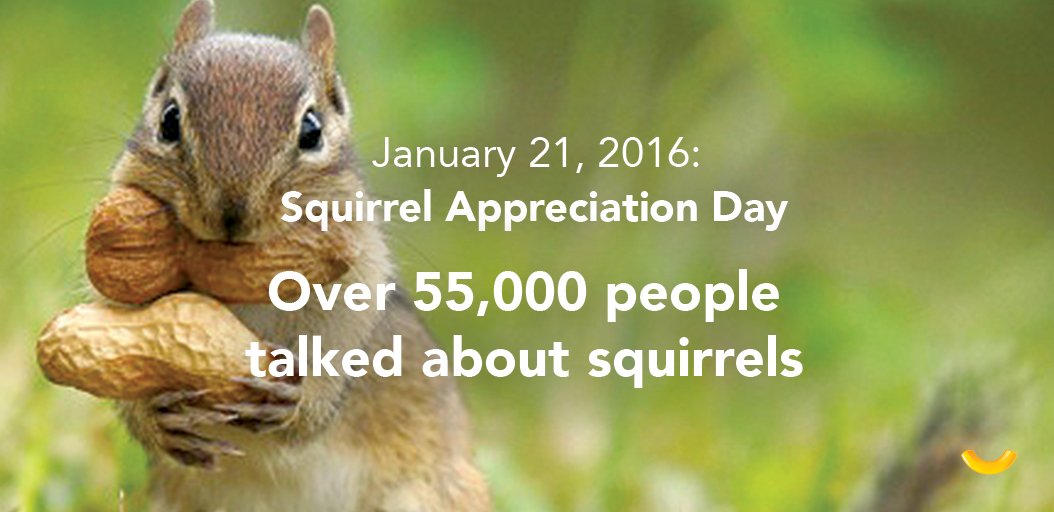 kraftmacncheese's tweet photo. 55,000 more people tweeted about squirrels than Kraft Mac &amp; Cheese's new recipe. #didntnotice https://t.co/ZXmLmHyAF3