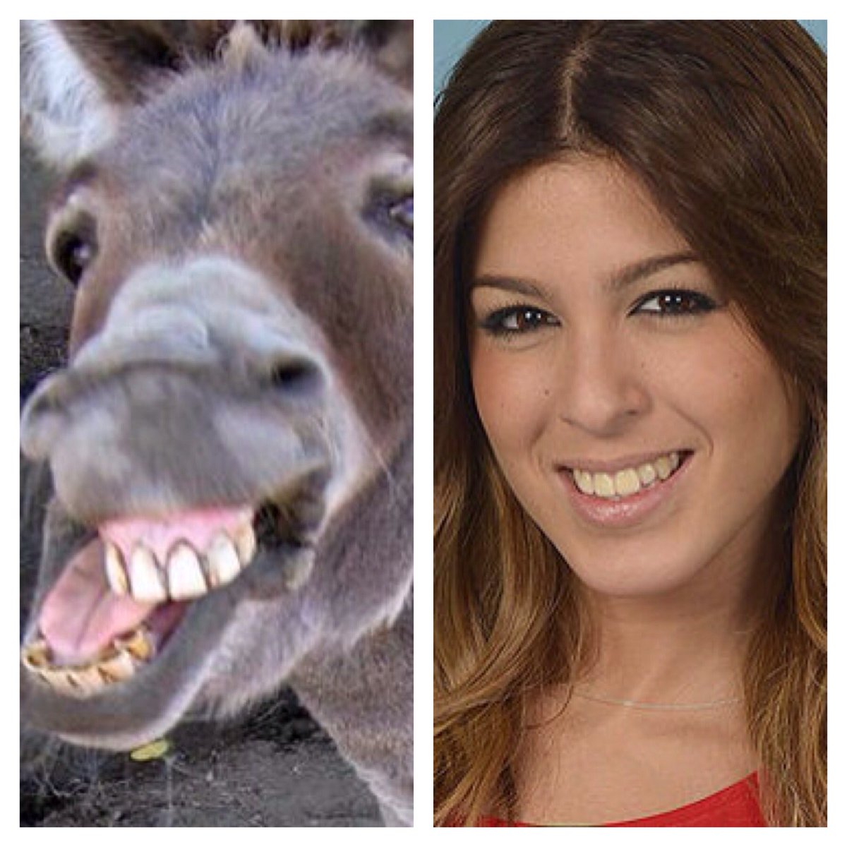 BaniRogui's tweet photo. #volveriascontuex #ElOcasoDeRubi #teamgala #supershore #ghvip https://t.co/tTJiOVH5GM