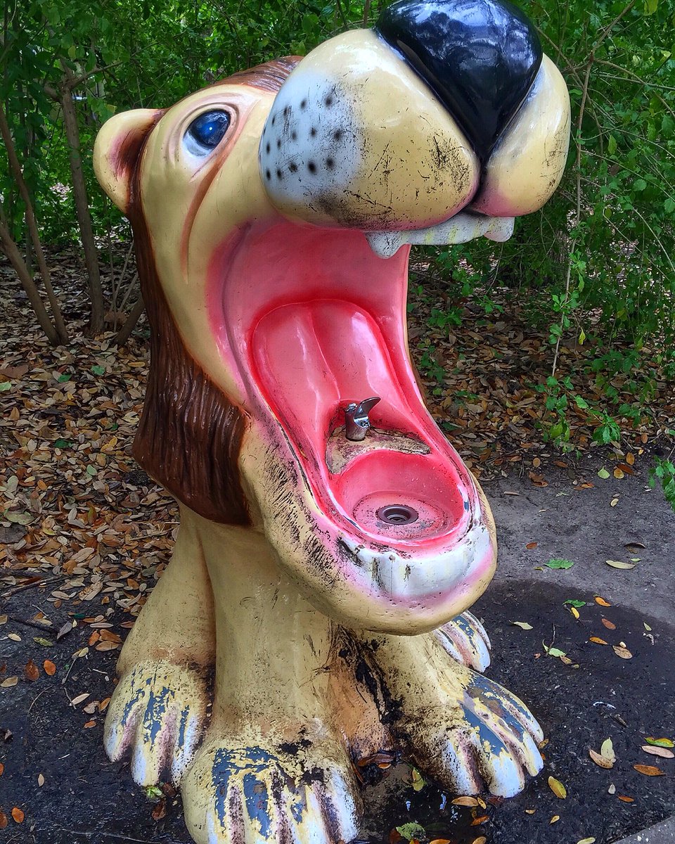 sozavac's tweet photo. 3.7 Hello! #fmsphotoaday #fms_hello 67/366 @houstonzoo https://t.co/5cbImNjuqK