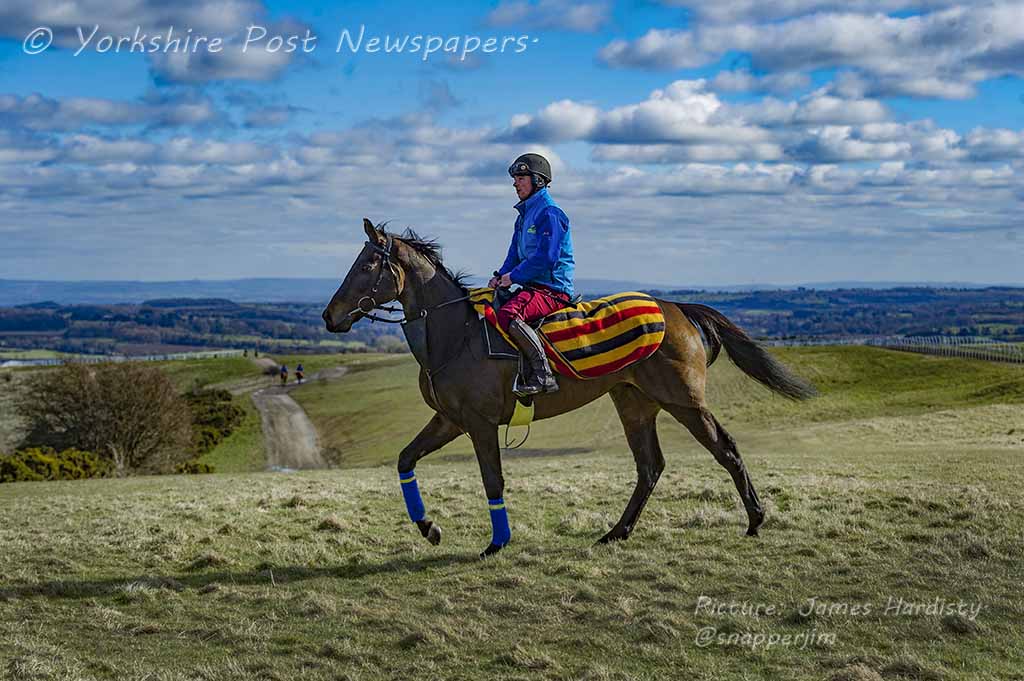 snapperjim's tweet photo. @JoeColliver on #JustCameron #Racing #Middleham #NorthYorkshire @OpinionYP @yorkshirepost @MHammondRacing #Yorkshire https://t.co/maTdH0UAlO