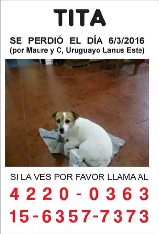 lorenaDulceA's tweet photo. https://t.co/gREvvMg3UL