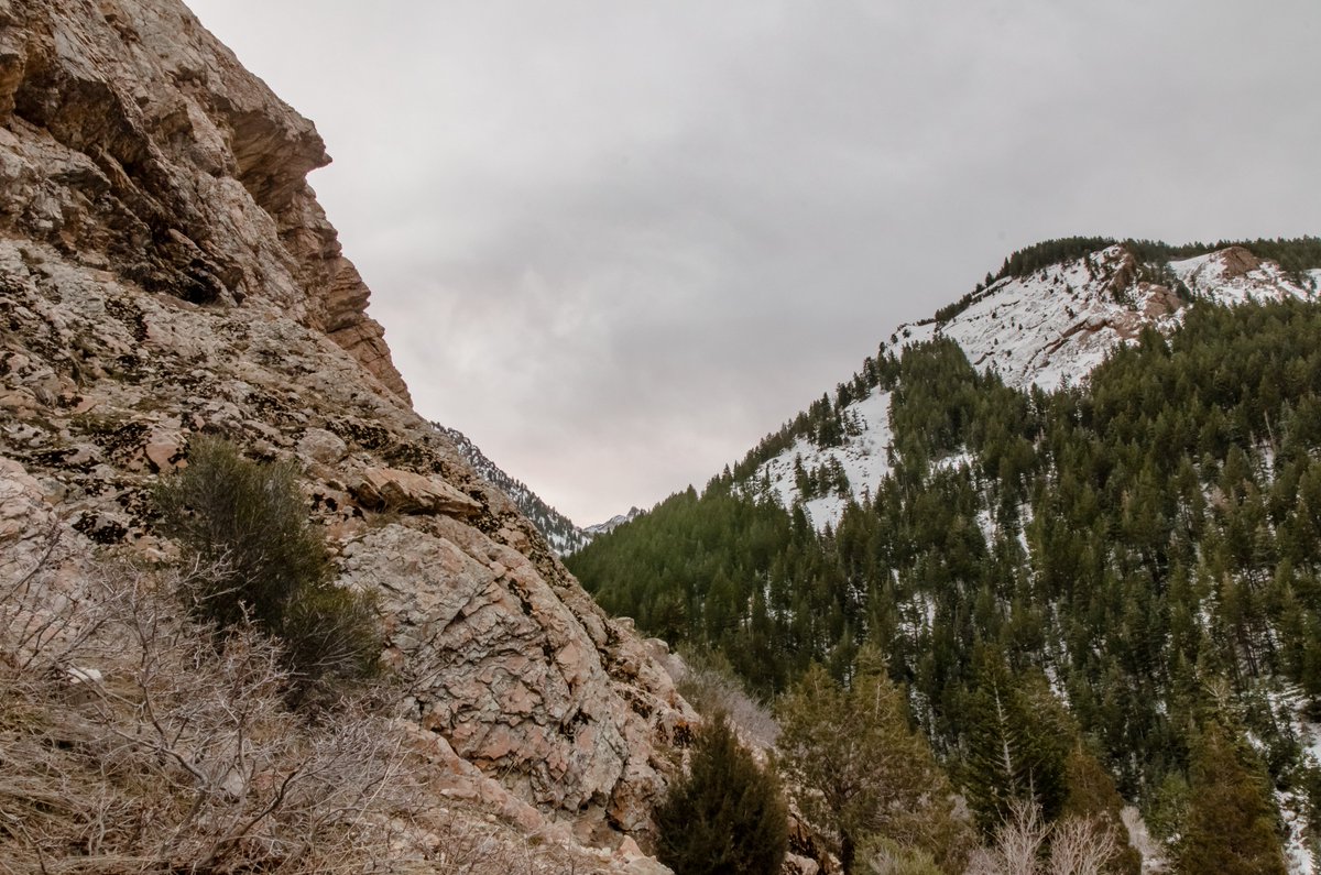 tylyn_hansen's tweet photo. "The mountains are calling and I must go." - John Muir
#LandscapePhotoraphy #SaveOurCanyons https://t.co/yGdSDLsXdb