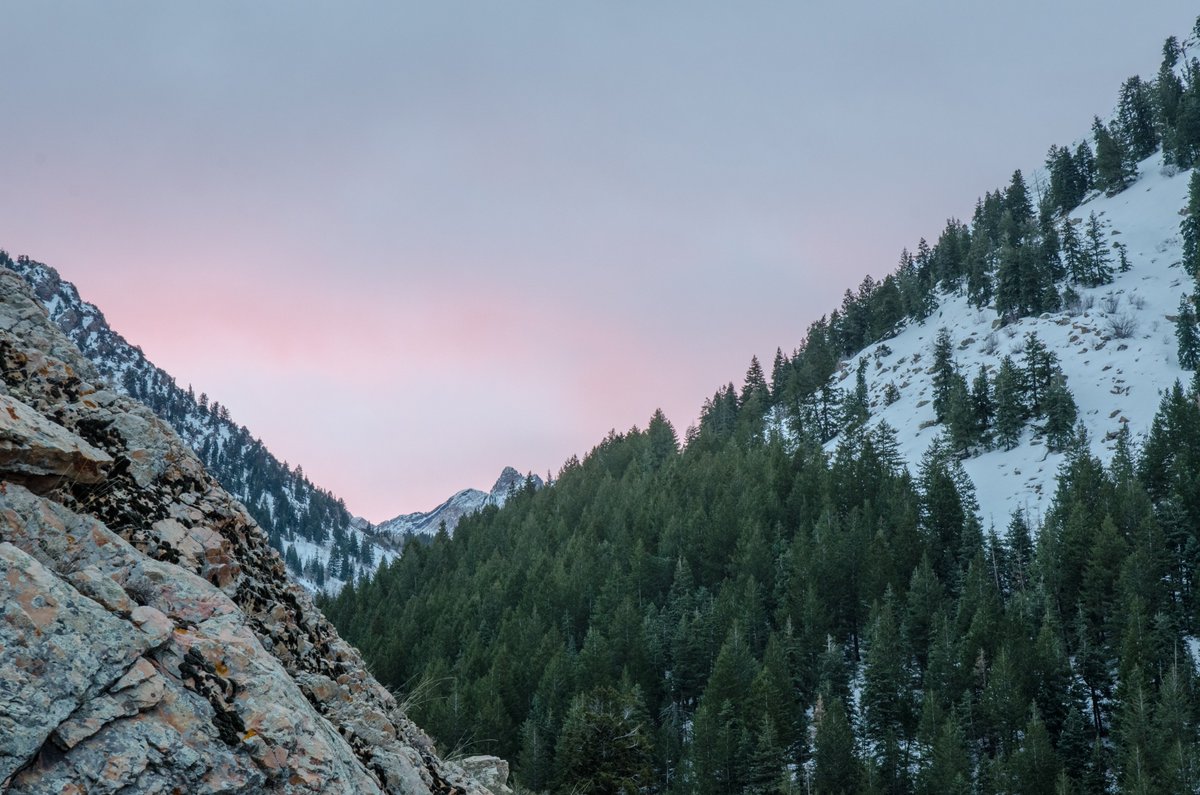 tylyn_hansen's tweet photo. "The mountains are calling and I must go." - John Muir
#LandscapePhotoraphy #SaveOurCanyons https://t.co/yGdSDLsXdb
