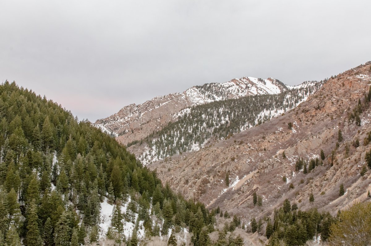 tylyn_hansen's tweet photo. "The mountains are calling and I must go." - John Muir
#LandscapePhotoraphy #SaveOurCanyons https://t.co/yGdSDLsXdb