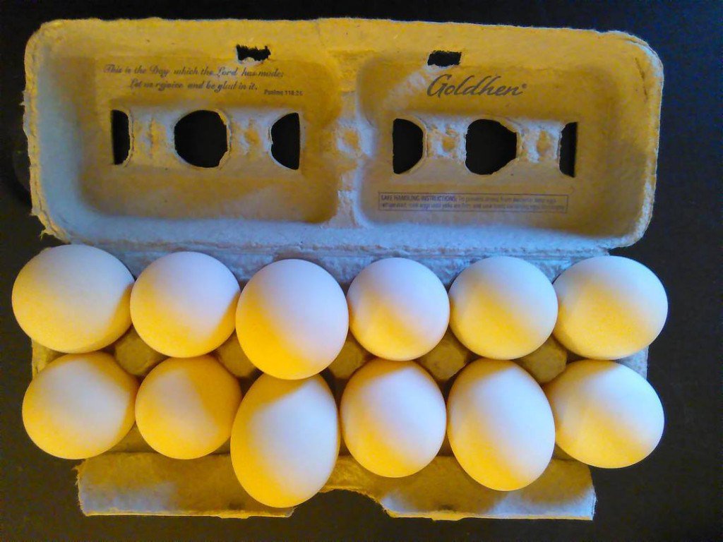LTDFarm's tweet photo. Stillwater CSA Fair &amp; Duck Eggs are back! https://t.co/roPHtl6aYA https://t.co/gT8ewLYPWB