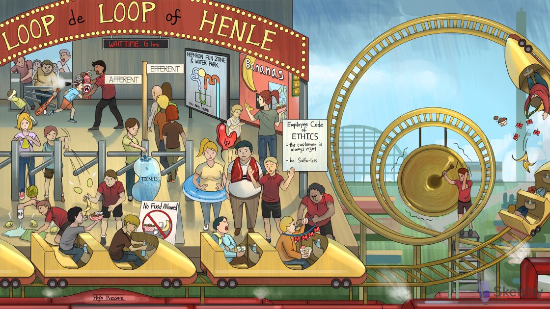 Save Sketchy Medical Video For Offline Use