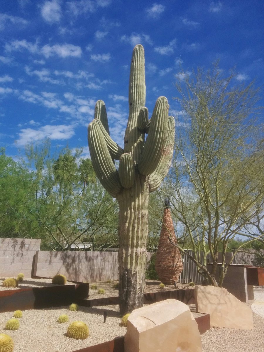DC_Group's tweet photo. Attending the @vmware Partner Leadership Summit in #Arizona Very interesting first day #SDDC #DigitalWorspace https://t.co/A7ySMhitiC