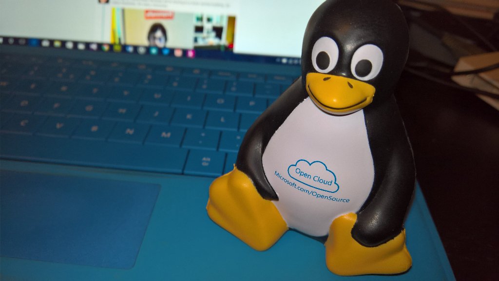 MichaelGillett's tweet image. He&apos;s happy today ;) #SQLServerOnLinux