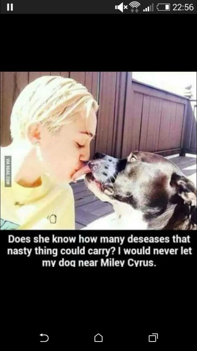 randomcomedy__'s tweet image. My dog is staying away from that!💩🐕