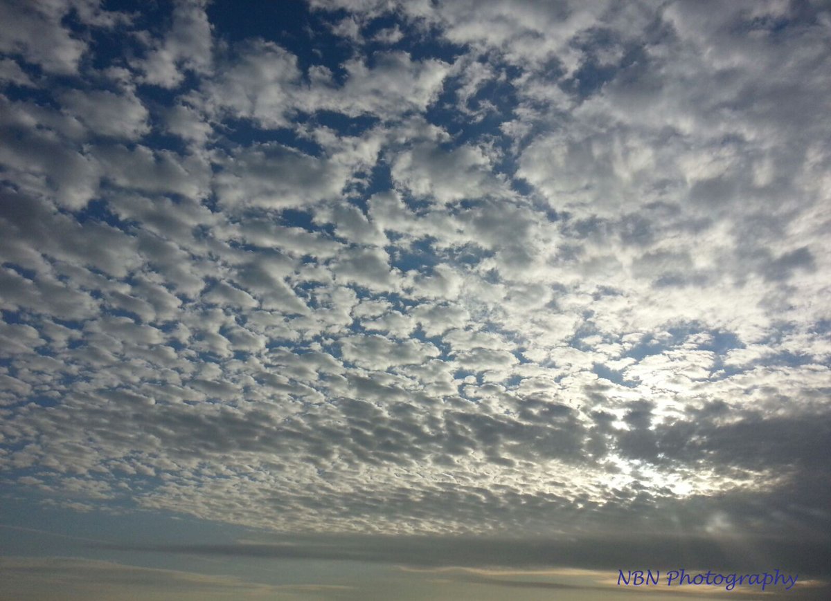 NBNPhotography's tweet photo. #nbnphotography #NothingButNatural #sunset #landscape #clouds #naturesbeauty #skyline #wildlife https://t.co/T20UUDiBsO