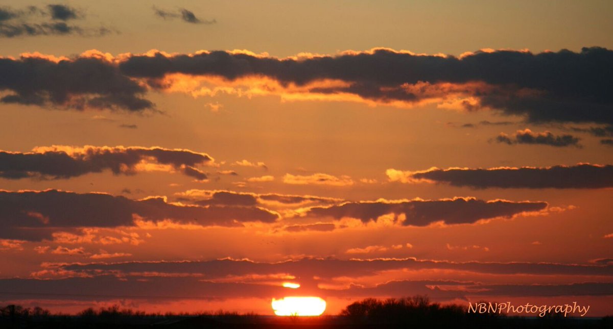 NBNPhotography's tweet photo. #nbnphotography #NothingButNatural #sunset #landscape #skyline #wildlife #natureatitsbest #relax #trees #focus https://t.co/F3lmwnkobz