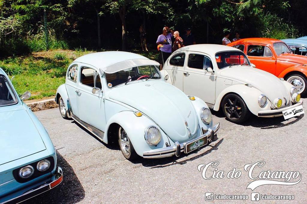 oldcar_photo's tweet photo. #ciadocarango #euamocarroantigo #carroantigo #carroantigos #carroantigo_bh #oldcar #oldcars #oldcarshow #encontroca… https://t.co/O1c5i05euB