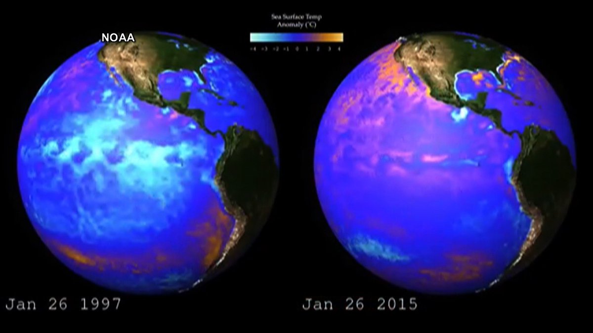 democracynow's tweet photo. Average Temperature Briefly Tops 2 Degrees in New Climate Milestone https://t.co/q4ybYh7u9u https://t.co/p5Er8I0JH7