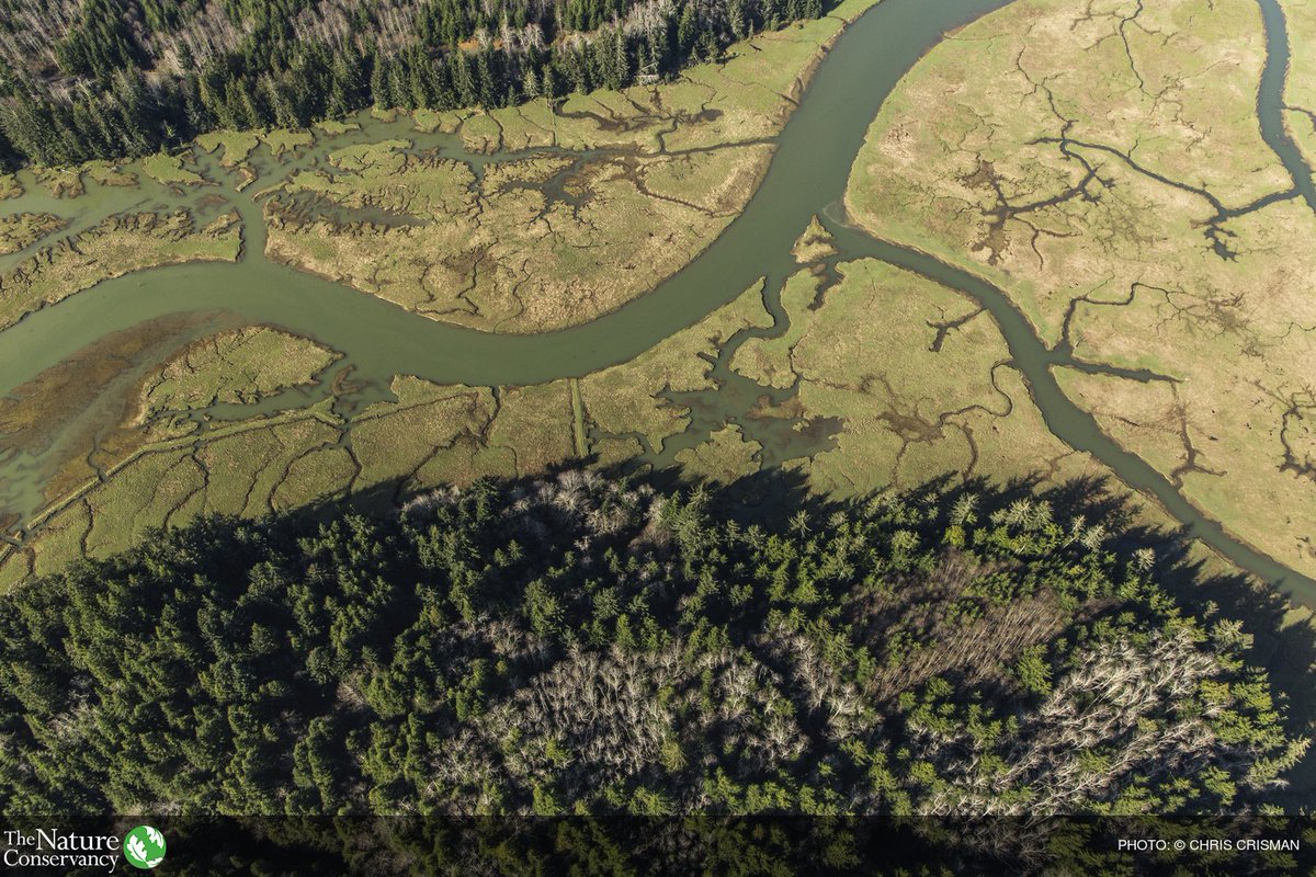 nature_org's tweet photo. When it rains, it pours pollutants into our watersheds. An innovative solution: https://t.co/K8D6VQLNpo @NatureVest https://t.co/lF0abu8OYz