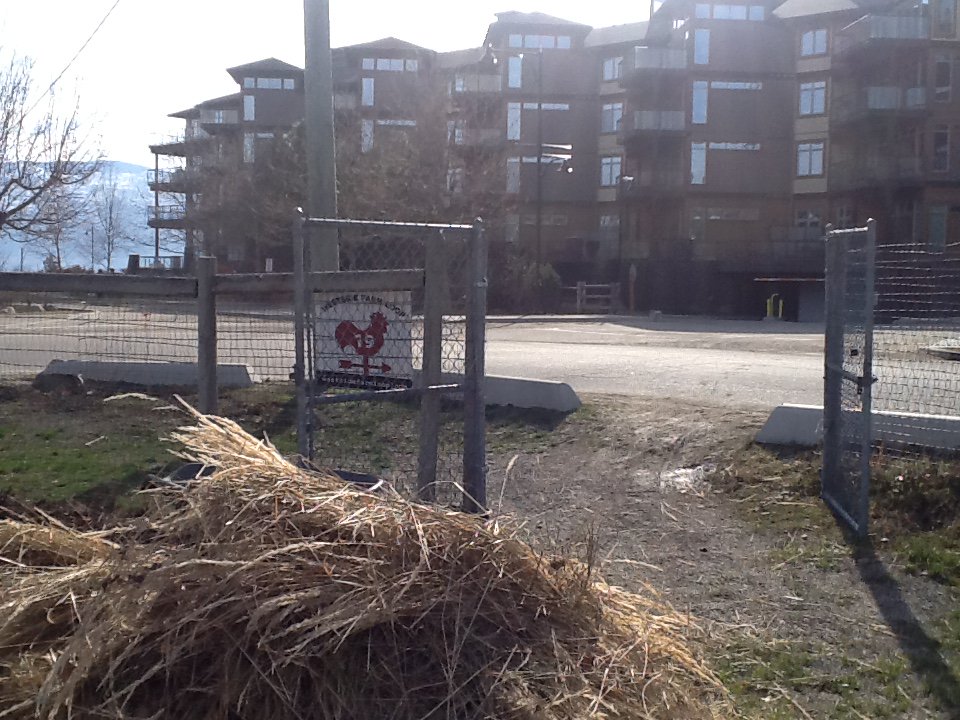 KitsDaily's tweet image. The sun is shining @Bonfire_Cove - Farm Gate is open, mud between my toes @Bonfire_Cove