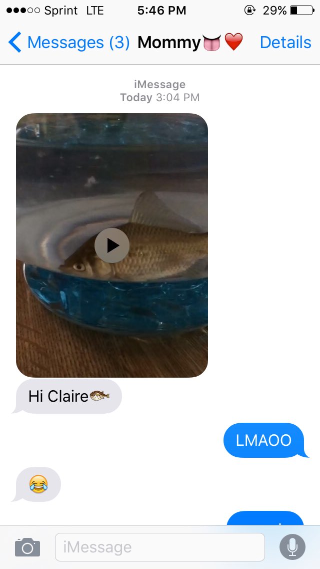 cfinz_'s tweet photo. when u love Roberto ππππ @Justhayleyhere #fishprobs https://t.co/49QwThYO2e