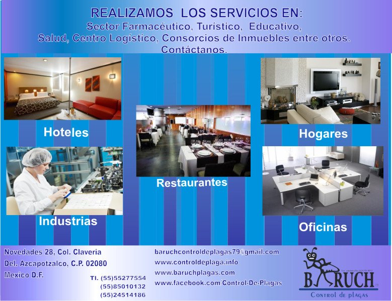 ControlPlagaB's tweet image. 