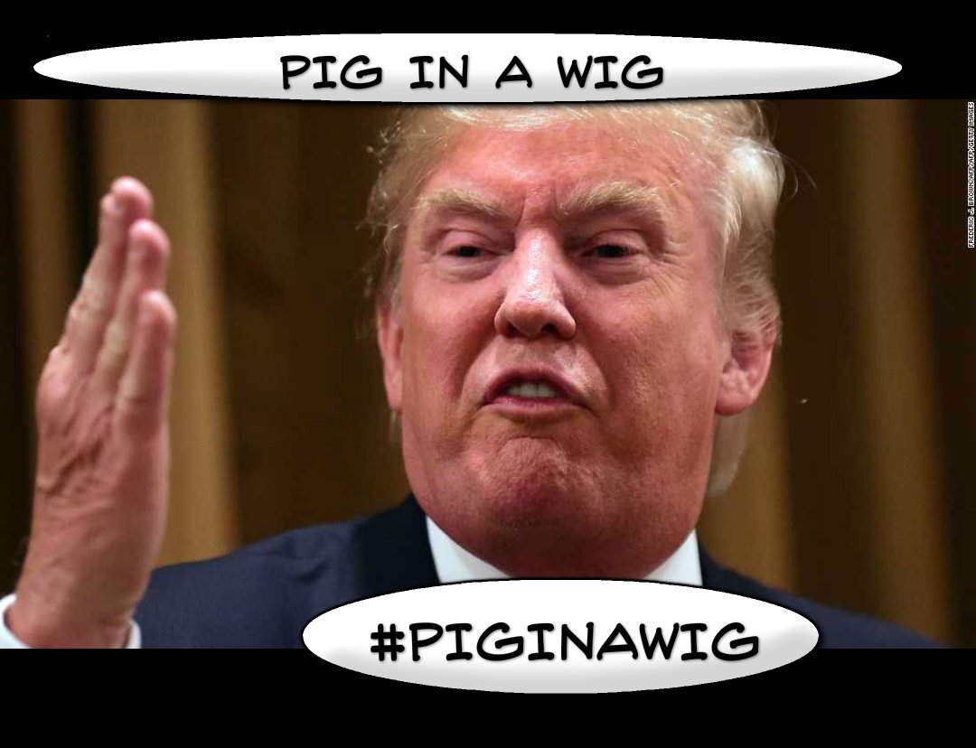 #PIGINAWIG